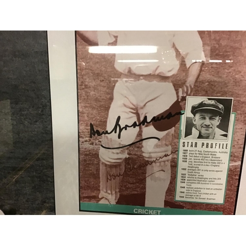 176 - Framed Don Bradman cricketer ephemera