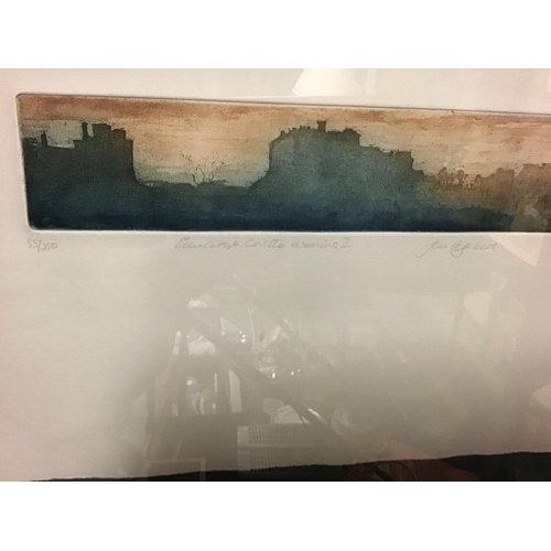 200 - Framed & Glazed signed Limited Edition picture No 55/250 signed John Heywood of Edinburgh Castle