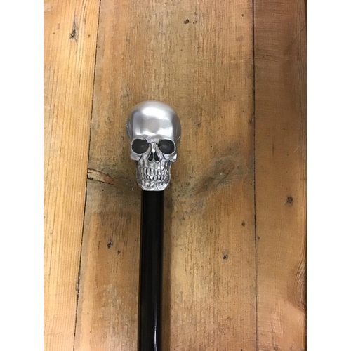 465 - Walking stick with skull topo