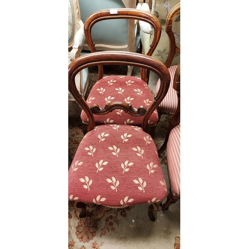 661 - 2 x Occassional chairs - COLLECTION ONLY