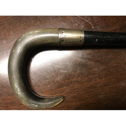 536 - Lovely Victorian walking cane with horn handle and hallmarked silver collar