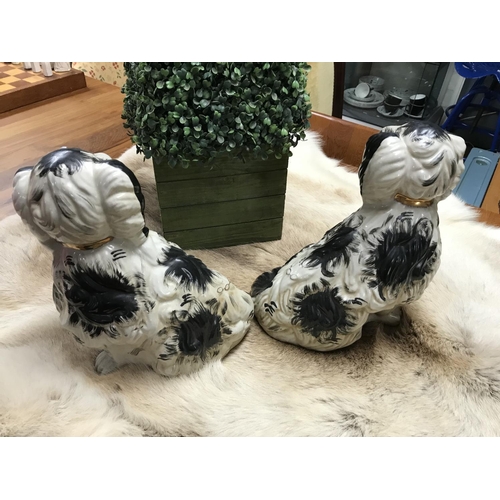 755 - Pair of large Staffordshire fire dogs