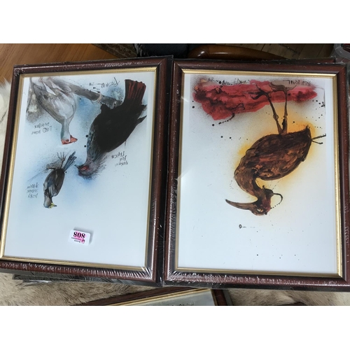 808 - 8 x Lovely Ralph Steadman bird pictures