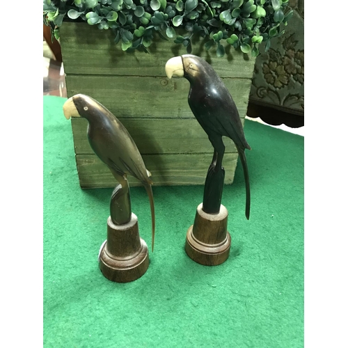 584 - PAIR OF VINTAGE BUFFALO HORN PARROTS ON BASE