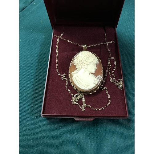 111A - BOXED 375 MARKED CAMEO PENDANT/BROOCH ON A CHAIN OVERALL WEIGHT 5.7GRAMS