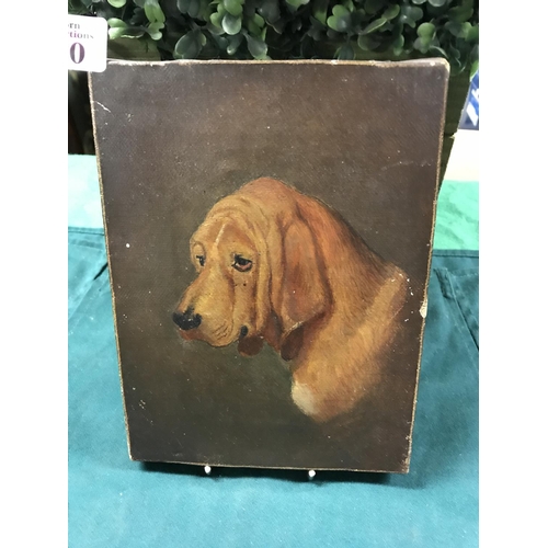 420 - BEAUTIFUL SMALL ORIGINAL OIL ON CANVAS OF A DOG 6