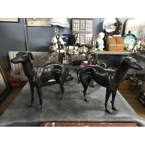 499 - PAIR OF LOVELY BRONZE GREYHOUNDS - 30CMS H