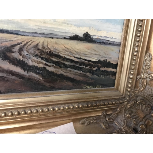 140 - FRAMED OIL ON BOARD - SIGNED R.G. NEEVES - 65CMS X 55CMS