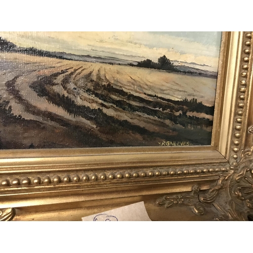 172 - FRAMED OIL ON BOARD - SIGNED R. G. NEEVES - 65CMS X 55CMS