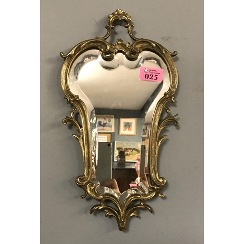 25 - SMALL VINTAGE DECORATIVE MIRROR - 20CMS X 36CMS APPROX