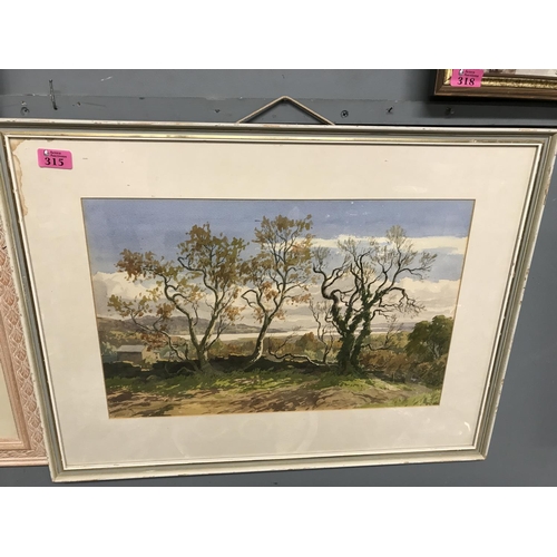 315 - FRAMED & GLAZED WATERCOLOUR - 70CMS X 53CMS - SIGNED BY ERNEST E CLARKE - COLLECTION ONLY OR ARRANGE... 