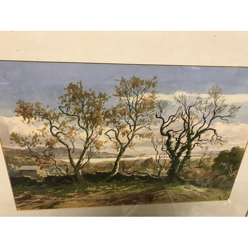 315 - FRAMED & GLAZED WATERCOLOUR - 70CMS X 53CMS - SIGNED BY ERNEST E CLARKE - COLLECTION ONLY OR ARRANGE... 