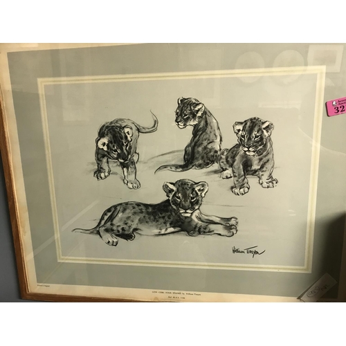 327 - FRAMED & GLAZED PICTURE BY WILLIAM TIMYM - A STUDY OF LION CUBS - 58CMS X 48CMS