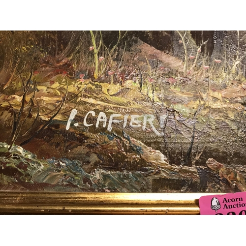 330 - FRAMED OIL ON CANVAS BY I. CAFIERI - 70CMS X 60CMS