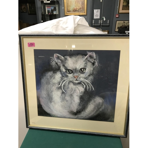 737 - FRAMED & GLAZED CAT PASTILLE - SIGNED E. JOHNSON - 60CMS X 55CMS