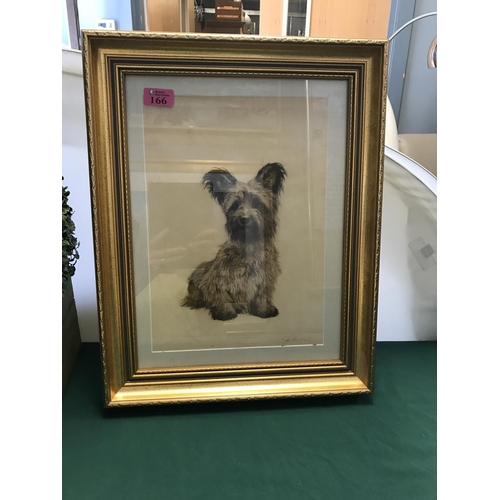 166 - FRAMED & GLAZED WATERCOLOUR OF A DOG - SIGNED BY ARTIST - 38CMS X 48CMS
