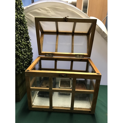 254 - SMALL WOODEN FRAMED GREENHOUSE WITH OPENING ROOF - 36CMS X 36CMS