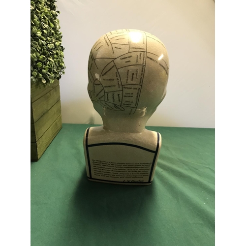 320 - LARGE PHRENOLOGY HEAD - 30CMS H