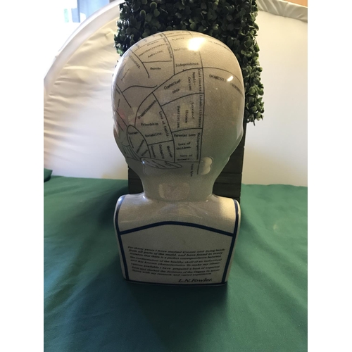 96 - LARGE PHRENOLOGY HEAD STANDING 30CMS H