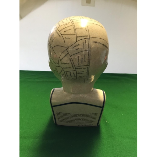 158 - LARGE PHRENOLOGY HEAD - 29CMS H