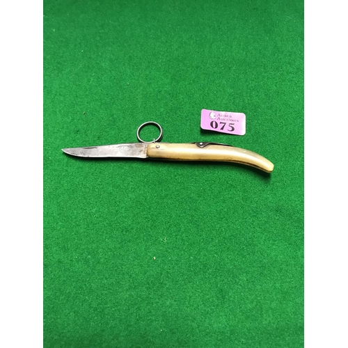 75 - LOVELY EARLY VICTORIAN HORN PENKNIFE - CLOSED 10CMS L - OPEN 18CMS LONG