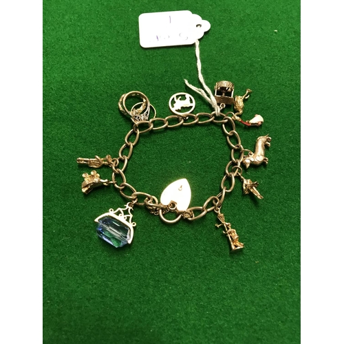 785 - LOVELY 9CT GOLD BRACELET & CHARMS - OVERALL WEIGHT 22GRMS