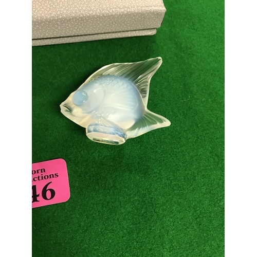 46 - LOVELY BOXED LALIQUE OPALESCENT SEAL FISH - SIGNED LALIQUE - 5.5CMS X 5CMS