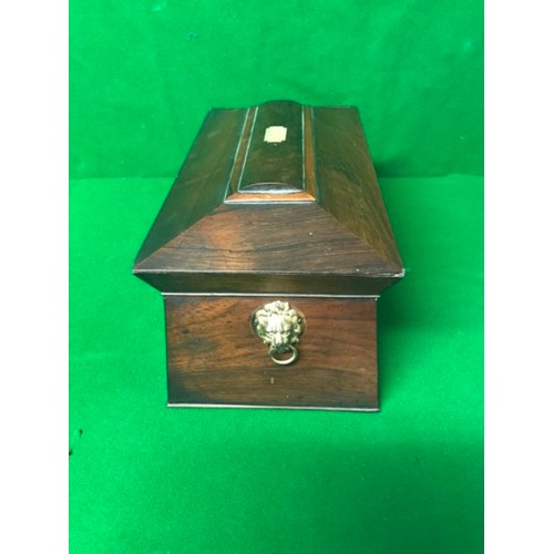 643 - LOVELY EARLY SARCOPHAGUS SHAPED TEA CADDY WITH BRASS LION & RING HANDLES TO BOTH SIDES - 38CMS X 20C... 