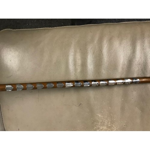 653 - WALKING STICK WITH HIKING BADGES