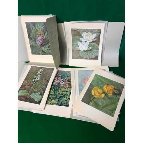68 - 5 X FOLDERS OF GERMAN BOTANICAL COLOURED PICTURES - EACH FOLDER CONTAINING 16 PICTURES