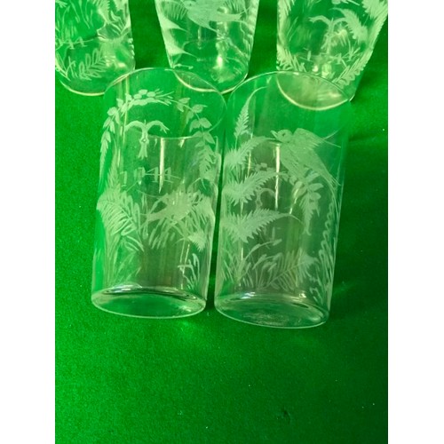 295 - 5 X LOVLEY GLASS TUMBLERS - ETCHED WITH  FERNS & SWALLOW & LEAVES & 1944