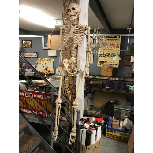 334 - PLASTIC LIFE SIZE ANATOMICAL SKELETON