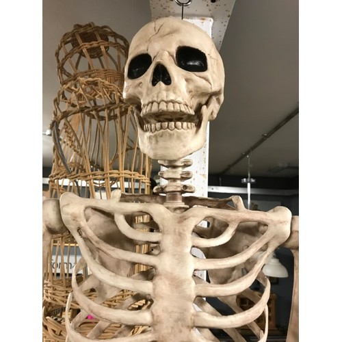 334 - PLASTIC LIFE SIZE ANATOMICAL SKELETON