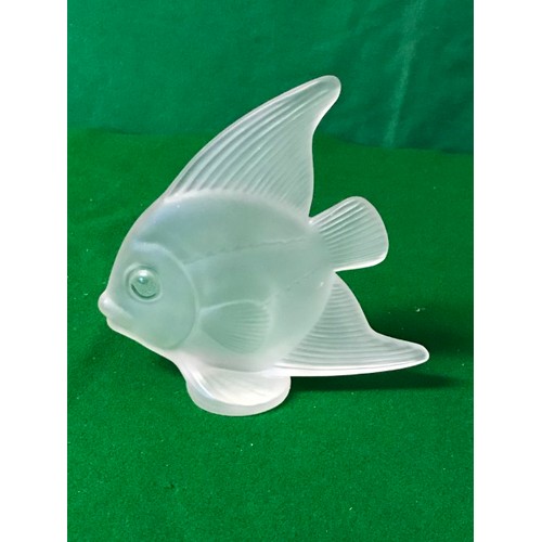 470 - LOVLEY VENNES GLASS FISH - 17CMS H X 17CMS L