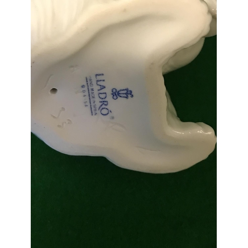 430 - LOVELY LLADRO POLAR BEAR - 13CMS H - GREAT CONDITION