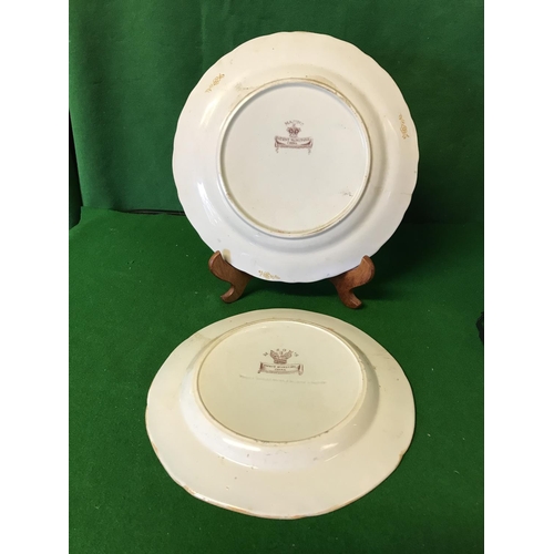 568 - 2 X EARLY IRONSTONE MASONS CABINET PLATES - 26CMS & 24CMS DIAM