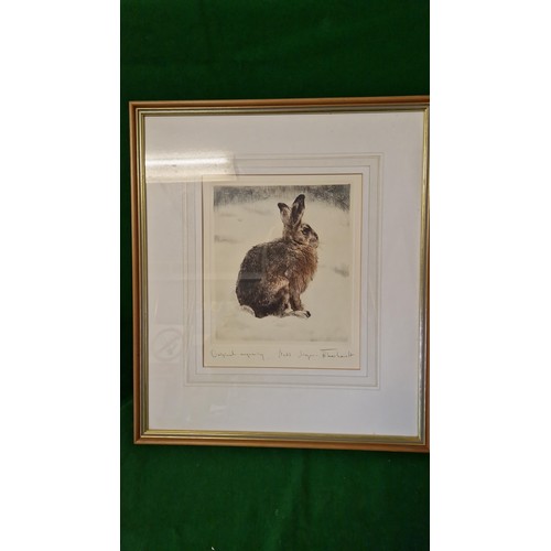 34 - FRAMED & GLAZED LOVELY ORIGINAL PEN & INK ENGRAVING OF A HARE - SIGNED BY ARTIST - KURT MAYER EBERHA... 