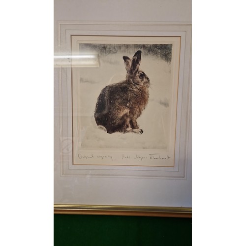 34 - FRAMED & GLAZED LOVELY ORIGINAL PEN & INK ENGRAVING OF A HARE - SIGNED BY ARTIST - KURT MAYER EBERHA... 