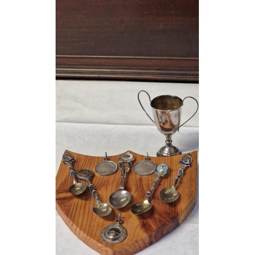 135 - WOODEN SHEILD WITH TROPHY SPOONS & MEDALS - 2 MEDALS ARE SILVER BUT CANT SEE THE BACKS OF THE SPOONS... 