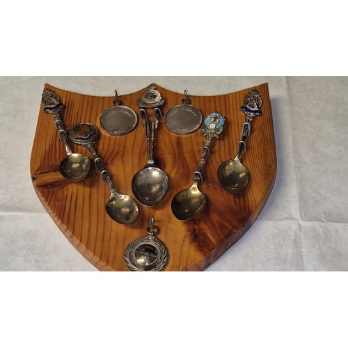 135 - WOODEN SHEILD WITH TROPHY SPOONS & MEDALS - 2 MEDALS ARE SILVER BUT CANT SEE THE BACKS OF THE SPOONS... 