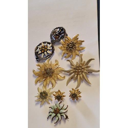 358 - NICE QTY OF VINTAGE EDELWEISS RELATED JEWELLERY - 1 BROOCH NO CLIP