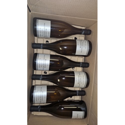 833 - 11 X COLLECTORS BOTTLES OF 2010 BOURGOGNE HAUTE DE NUITS WINE - COLLECTION ONLY OR ARRANGE OWN COURI... 