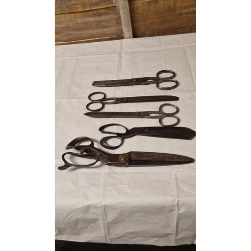 216C - 5 X PAIRS OF VINTAGE LARGE SCISSORS INC WILKINSON, MARKHAM, RIDGE ETC