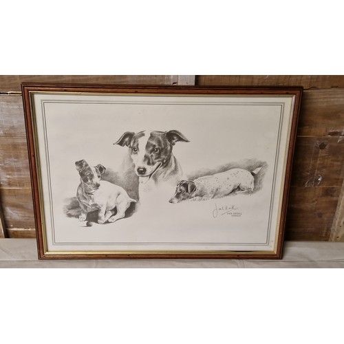 59 - FRAMED & GLAZED JACK RUSSEL PICTURE BY JOEL KIRK - 52CMS X 36CMS