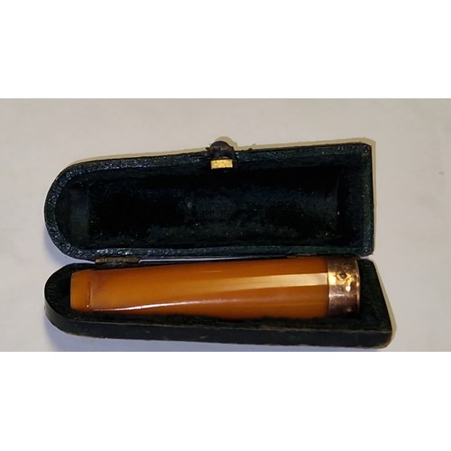 124 - LOVELY CASED VINTAGE AMBER CIGAR HOLDER