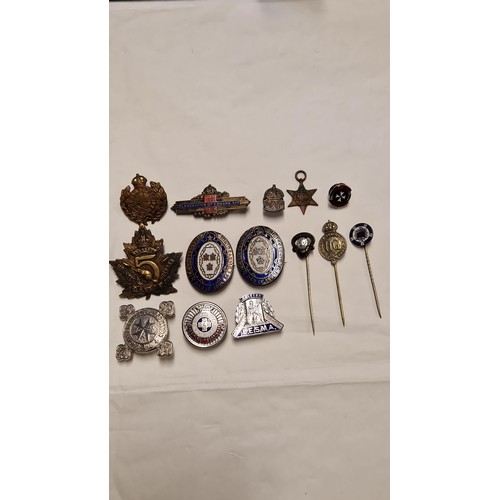 125 - NICE QTY OF MILITARY & OTHER BADGES