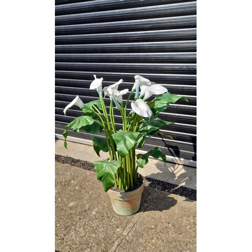 Lot 29        