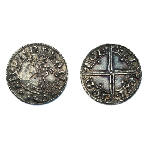 Lot 21        