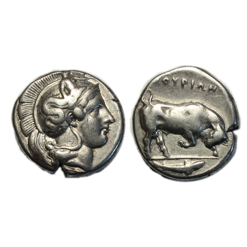 Lot 52        