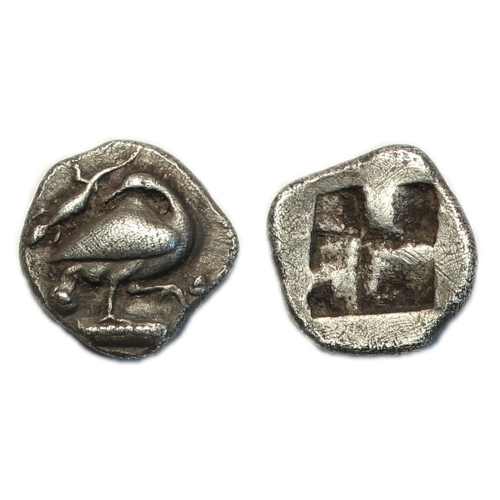 Lot 55        